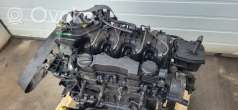 Двигатель  Volvo V50 1.6  Дизель, 2010г. 6901366, d4164t, 0104879 , artBTV63286  - Фото 6