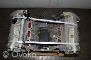 Двигатель  Audi A6 C5 (S6,RS6) 3.0  Бензин, 2004г. avk , artGVV73908  - Фото 2