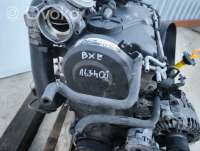 Двигатель  Volkswagen Golf 5 1.9  Дизель, 2003г. bxe , artAPD13011  - Фото 15