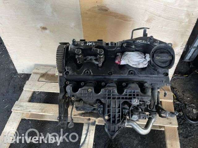 Двигатель  Skoda Octavia A5 restailing 1.6  Дизель, 2011г. artNAB7698  - Фото 1