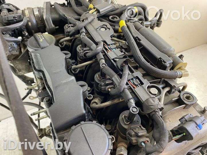 Двигатель  Citroen Xsara Picasso 1.6  Дизель, 2006г. 9hxdv6ated4, 9hx, k5519 , artMDV39600  - Фото 5