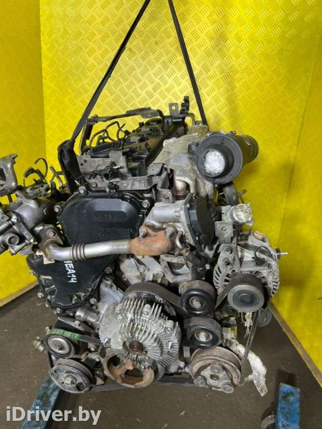 Двигатель  Nissan Navara D40   2013г. YD25DDTI  - Фото 1