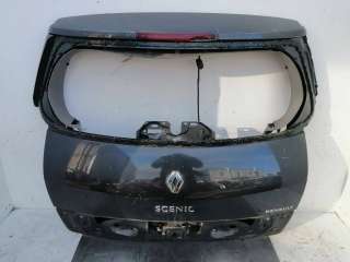  Крышка багажника (дверь 3-5) Renault Scenic 2 Арт 45806, вид 1