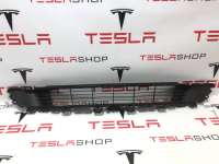 1493759-00-A Заглушка (решетка) в бампер к Tesla model Y Арт 9936038