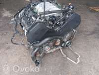 Двигатель  Volkswagen Touareg 1 4.2  Бензин, 2005г. axq028204, axq028204, axq028204 , artEIR8389  - Фото 6