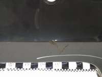 Накладка (юбка) заднего бампера BMW X4 F26 2014г. 51128057000 - Фото 4