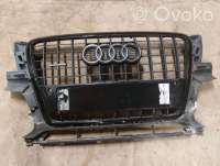 8r0853651bc , artZYG1967 Решетка радиатора к Audi Q5 1 Арт ZYG1967