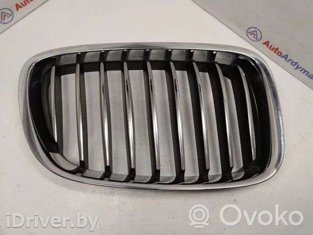 Решетка радиатора BMW 5 F10/F11/GT F07 2010г. 51137200170, 51137200168 , artATA32541 - Фото 1