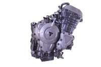  Двигатель к Triumph Speed Арт moto4122827