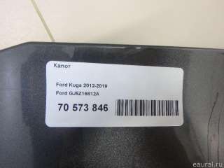 Капот Ford Kuga 2 2014г. GJ5Z16612A Ford - Фото 20