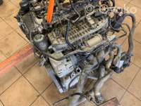 Двигатель  Audi Q5 2 2.0  Бензин, 2019г. day, dayb , artMON12379  - Фото 10