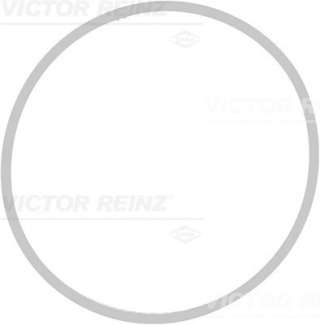 713940900 victor-reinz Прокладка впускного коллектора к BMW X5 E53 Арт 64970127