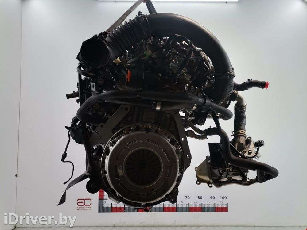 Двигатель  Mazda CX3 1.5 D Дизель, 2015г. S55010300D, S5-DPTR,S5-DPTS,S5Y2,S5Y5  - Фото 3