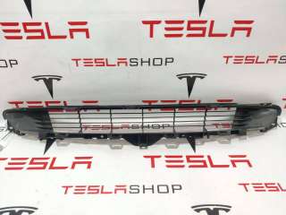1085927-00-C Заглушка (решетка) в бампер передний к Tesla model 3 Арт 99446715