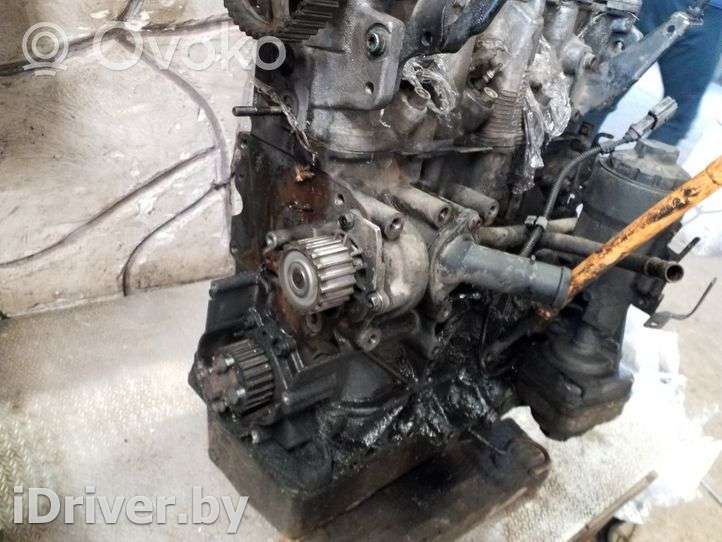 Двигатель  Skoda Fabia 1 1.9  Дизель, 2002г. 03d103019j, , v400 , artDND21583  - Фото 6
