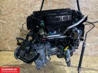Двигатель  Citroen Xsara 1.4  Дизель, 2004г. 8HX  - Фото 4
