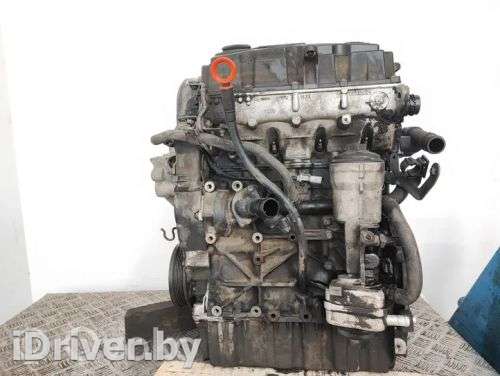Двигатель  Volkswagen Caddy 3 1.9  Дизель, 2010г. bls, blsc84397 , artRAG94480  - Фото 1