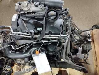bxebkc , artEAG5838 Двигатель к Volkswagen Golf PLUS 1 Арт EAG5838