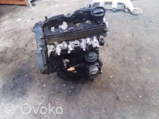 Двигатель  Volkswagen Passat B7 1.6  Дизель, 2013г. 03l103286a , artDND44664  - Фото 4