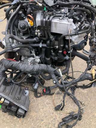 Двигатель  Volkswagen Touran 3 2.0  2019г. DFG  - Фото 2