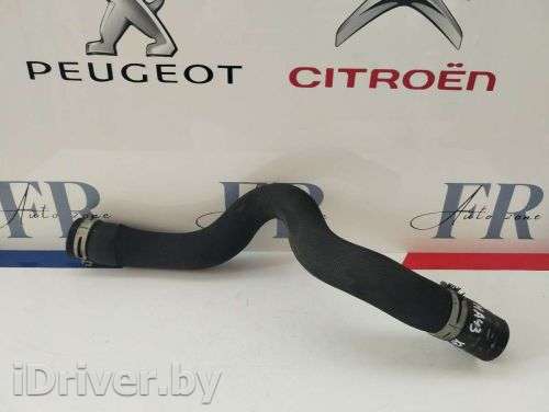 Патрубок радиатора Peugeot 508 2012г.  - Фото 1