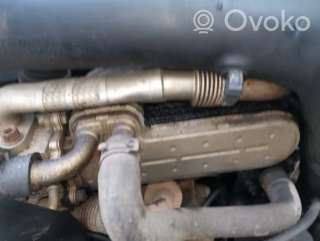 Охладитель отработанных газов Volkswagen Touran 1 2003г. 038131513d , artIMP2472149 - Фото 2