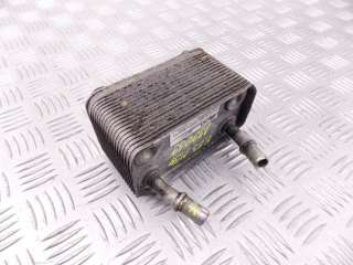17107500754 Радиатор АКПП к BMW X5 E53 Арт 18.18-6481