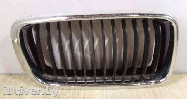 Решетка радиатора BMW X5 E53 2005г. 51138250051 - Фото 1