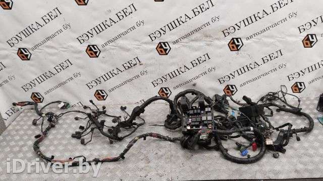 Проводка двигателя Kia Sorento 2 2011г.  - Фото 1