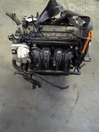 Двигатель  Skoda Fabia 1   2003г. bby , artNIE30581  - Фото 5