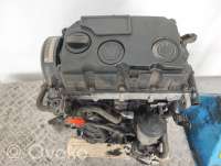 Двигатель  Volkswagen Caddy 3 1.9  Дизель, 2010г. bls, blsc84397 , artRAG94480  - Фото 5