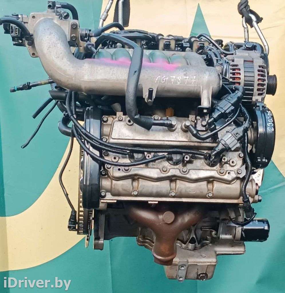 Двигатель  Kia Carnival 1 2.5  Бензин, 2004г. KV6,K5  - Фото 4