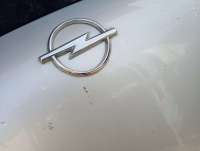 Капот Opel Frontera B 2002г.  - Фото 2