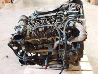 Двигатель  Citroen Berlingo 2  1.6  Дизель, 2010г. 9h03 , artAUT45538  - Фото 4