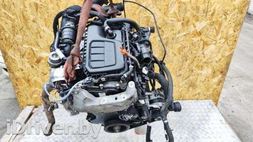 Двигатель  Mercedes Vito W447 1.6  Дизель, 2014г. R9MA502  - Фото 1