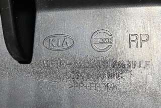 Заглушка (решетка) в бампер передний Kia Carens 4 2014г. 86351A4000 , art9585211 - Фото 6