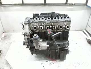 m57tu , artDEV366355 Двигатель к BMW 5 E60/E61 Арт DEV366355