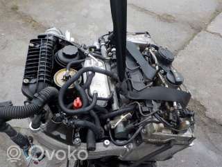 Двигатель  Mercedes C W203 2.2  Дизель, 2000г. 611962 , artPWB3974  - Фото 6