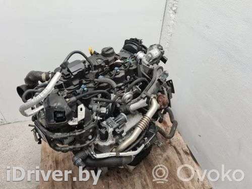 Двигатель  Ford Tourneo 1.5  Дизель, 2017г. xvga, cn1q6010cb, mmqqq , artSAD26829  - Фото 1