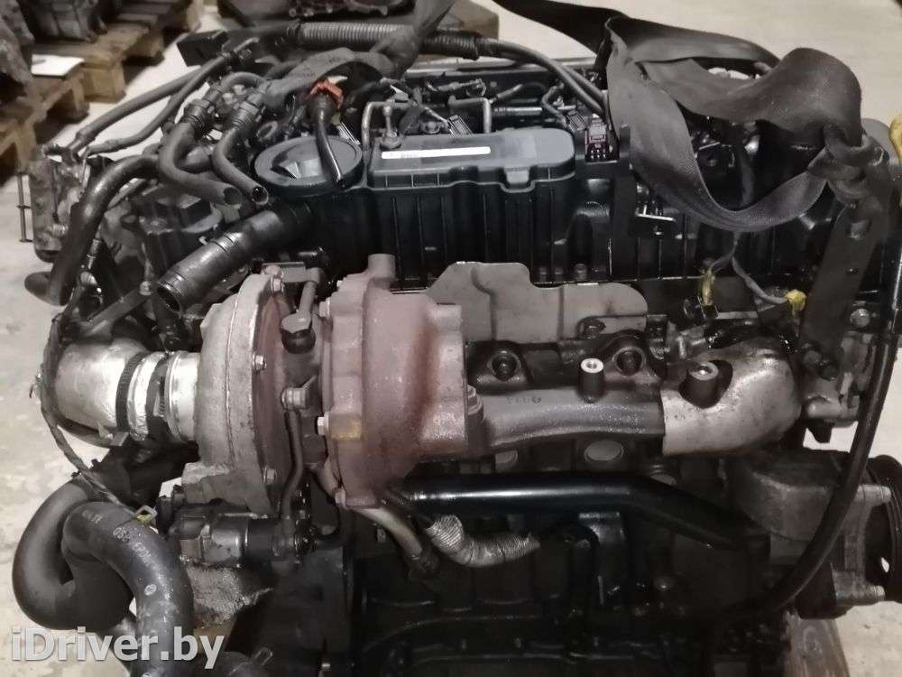 Двигатель  Kia Sorento 2 2.2 CRDi Дизель, 2011г. D4HB  - Фото 9