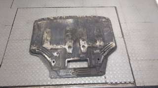  Защита двигателя к Ford Fiesta 6 Арт 8970493