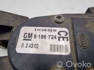 Педаль газа Opel Vectra C 2003г. 9186724, 6pv00832200 , artGRL897 - Фото 3