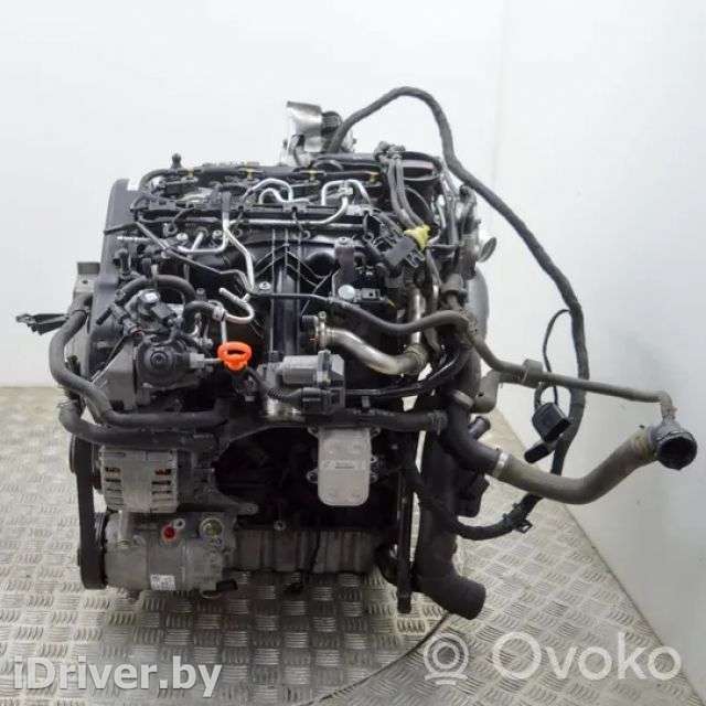 Двигатель  Volkswagen Passat B7 2.0  Дизель, 2011г. cfg , artGTV313319  - Фото 1