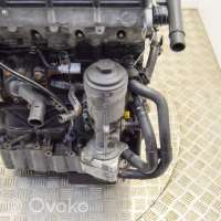 Двигатель  Volkswagen Caravelle T5 1.9  Дизель, 2008г. brr , artGTV2980  - Фото 6