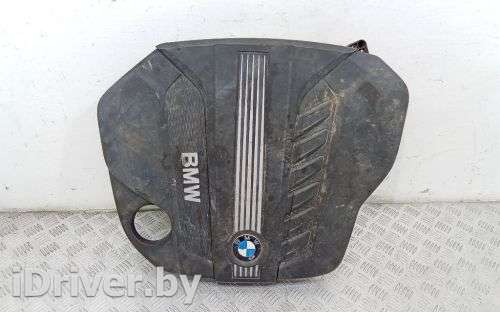 Декоративная крышка двигателя BMW X5 E70 2011г. 13717812063 - Фото 1