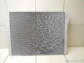 Радиатор основной BMW X5 F15 2011г. 17118669005 BMW - Фото 6