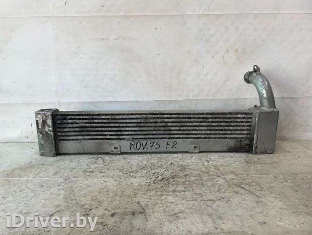 Интеркулер Rover 75 2001г.  - Фото 1