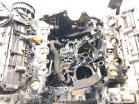 Двигатель  Audi A8 D3 (S8)   2008г. asb , artLOS50557  - Фото 7