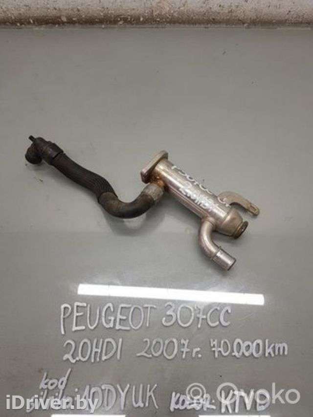 Охладитель отработанных газов Peugeot 307 2007г. artAPI32915 - Фото 1