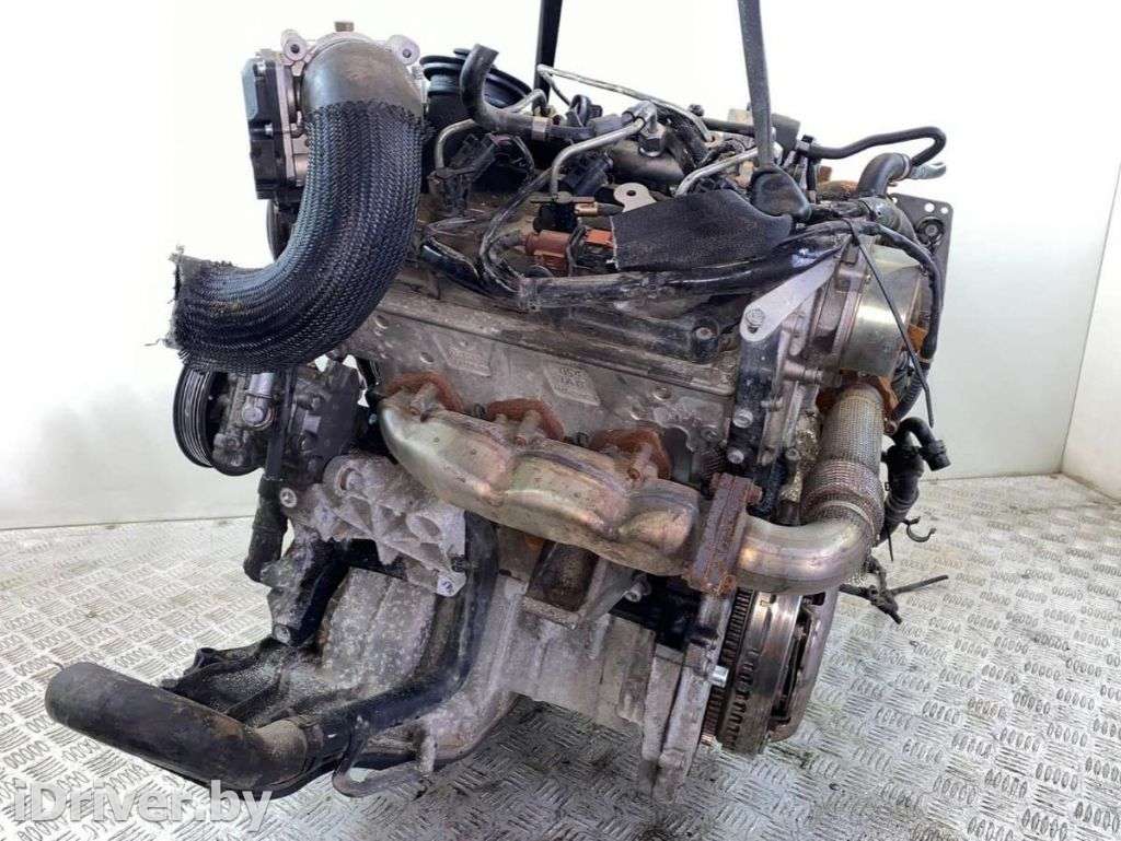 Двигатель  Audi A4 B7 2.7  Дизель, 2006г. BPP  - Фото 5